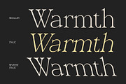CS Richie – Elegant Font, a Serif Font by Craft Supply Co. (Thumbnail 3 of 8)
