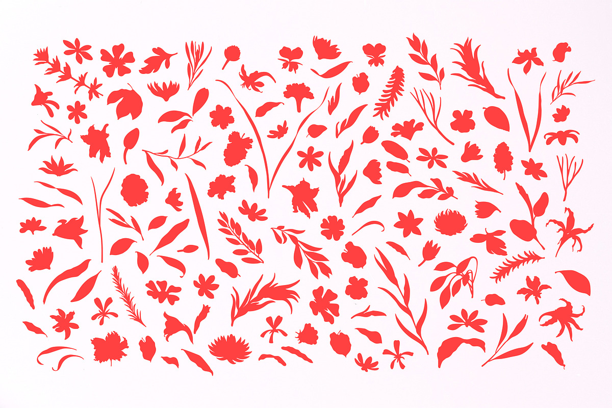 Botanical Vector Silhouettes, a Decorative Illustration by digiful (Photo 2 of 6)