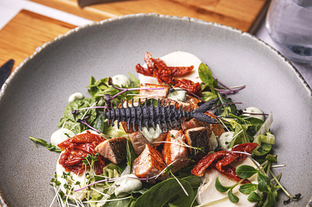 Salmon salad with mozzarella