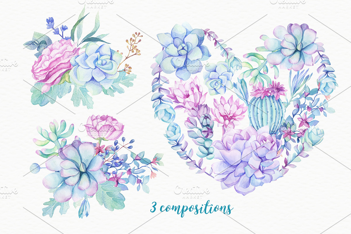 SALE! Succulents & Cactuses, an Illustration by Irina Diasli (Photo 3 of 8)