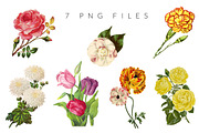 Vintage Flower Illustrations, an Illustration by Charming Ink (Thumbnail 3 of 3)