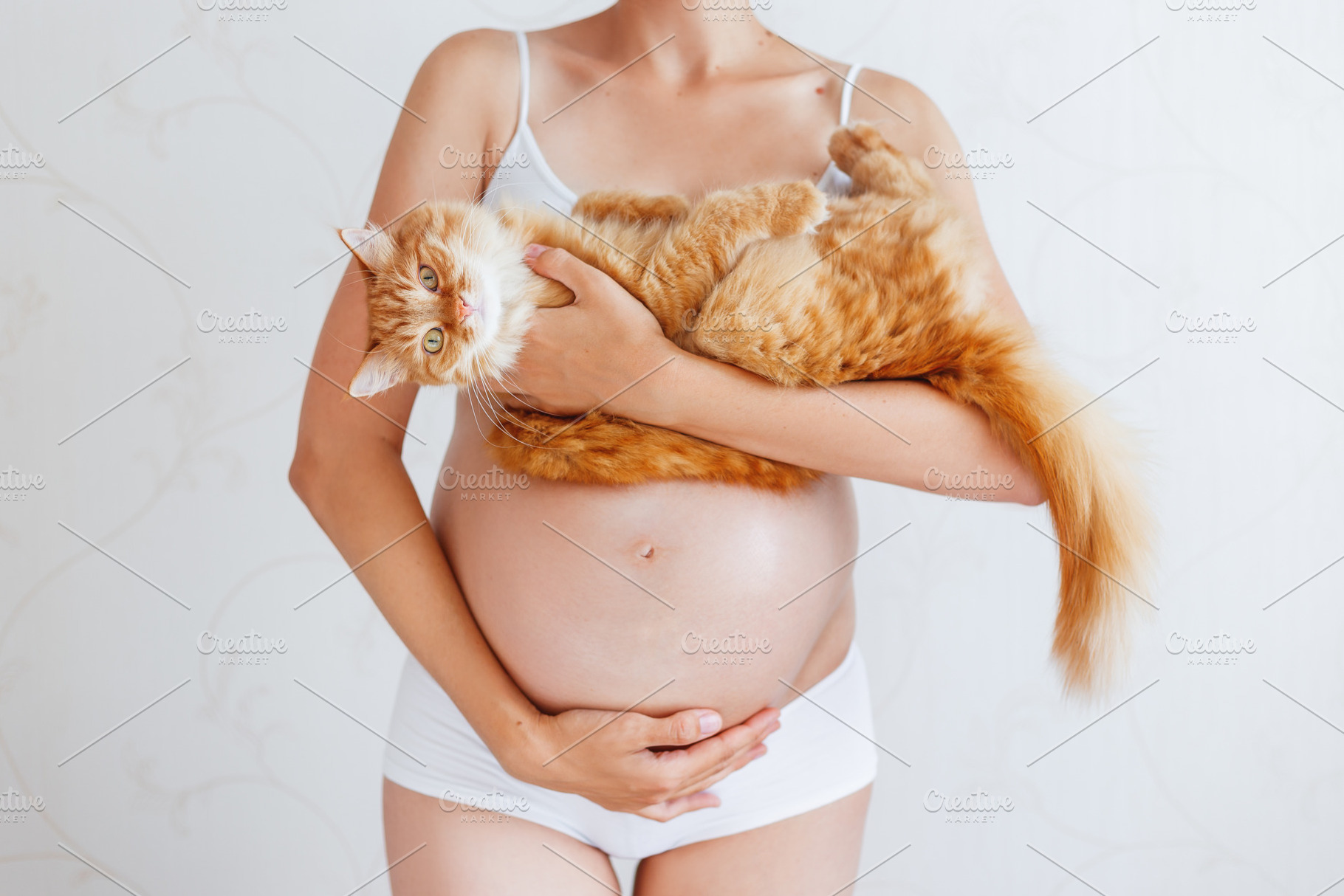 Pregnant woman with cute cat containing pregnant, pregnancy, and woman, a Person Photo by Aksenov_K