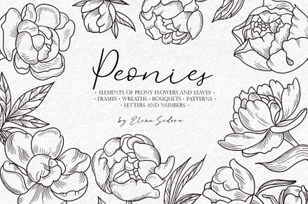 Peonies Line Art  SVG, AI, EPS, PNG, a Decorative Illustration by Elena_Sedova