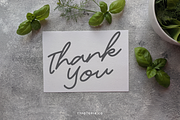 Candelia Script Font, a Script Font by edukka (Thumbnail 7 of 8)