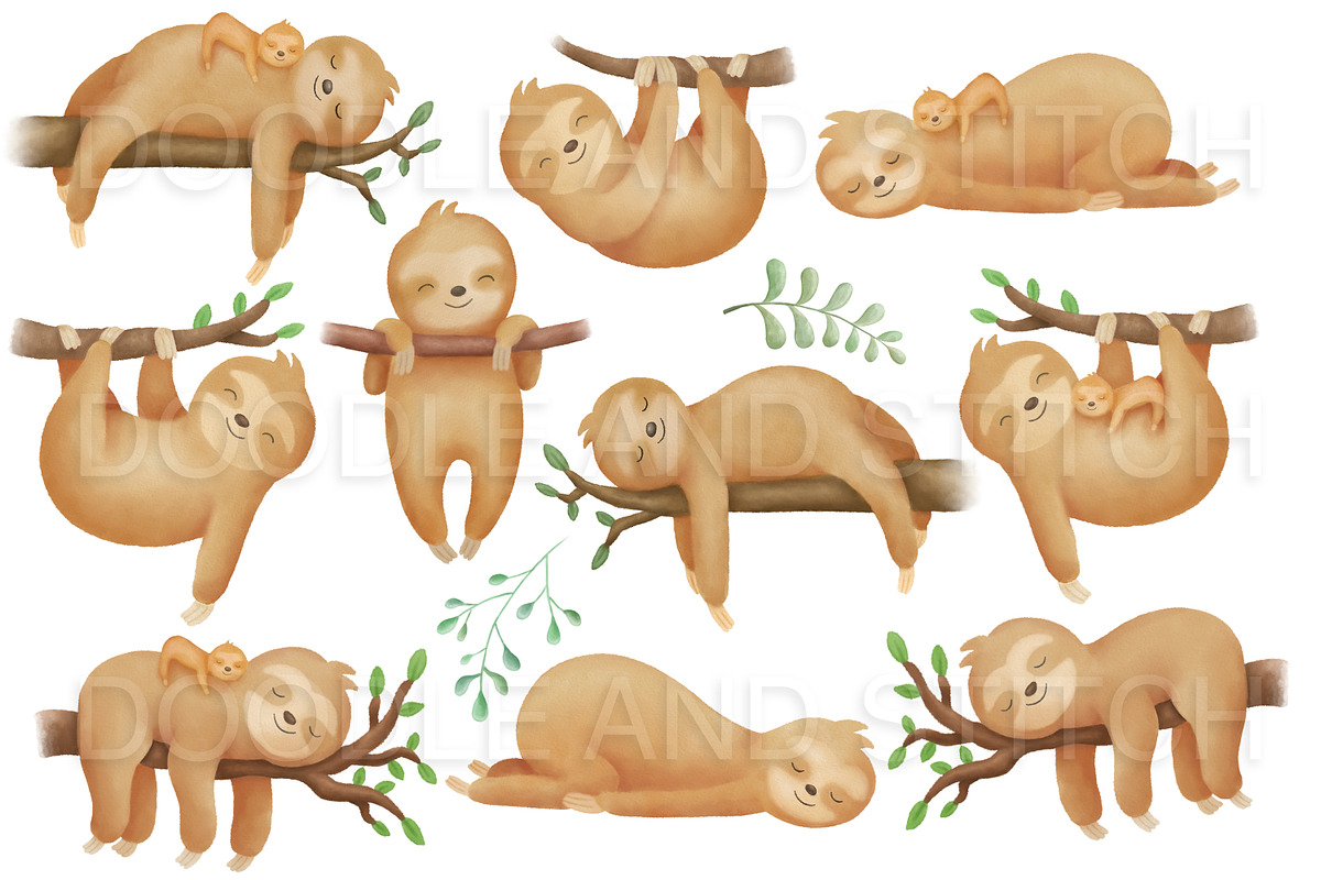 Watercolor Sloths Clipart, an Animal Illustration by Doodle and Stitch (Photo 2 of 2)
