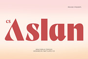CS Aslan – Bold Font, a Sans Serif Font by Craft Supply Co. (Thumbnail 1 of 8)