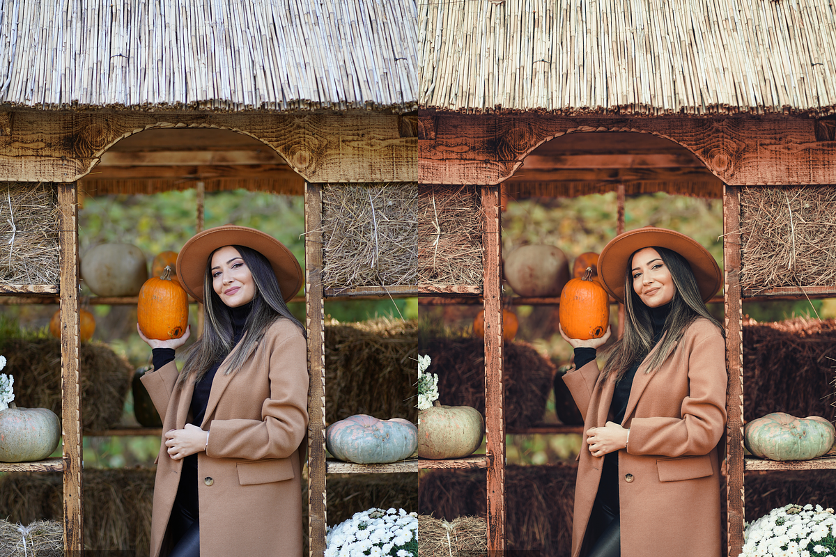 10 Pumpkin Lightroom Presets, a Preset Add-On by RamsaGraphi (Photo 9 of 10)