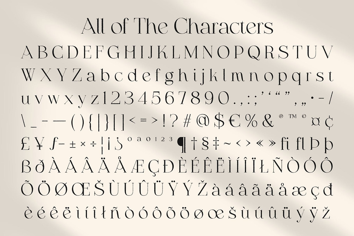 Raena Rough, a Serif Font by Craft Supply Co. (Photo 8 of 8)