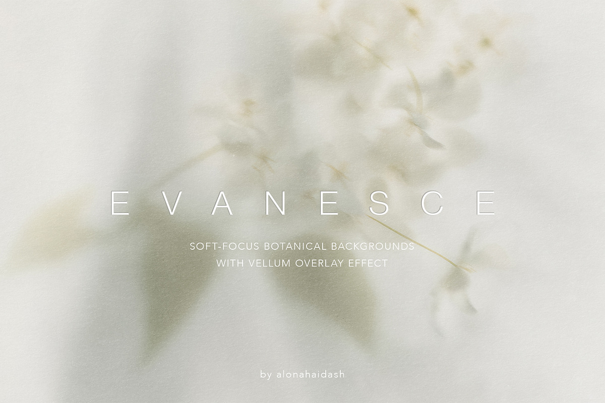 Blur Botanical Vellum Backgrounds, a Background Graphic by alonahaidash (Photo 1 of 14)