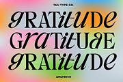 TAN - ARCHIEVE, a Serif Font by TanType (Thumbnail 9 of 11)
