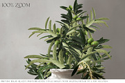 Table Runner Mockups, a Household Mockup by mock-ups (Thumbnail 19 of 20)