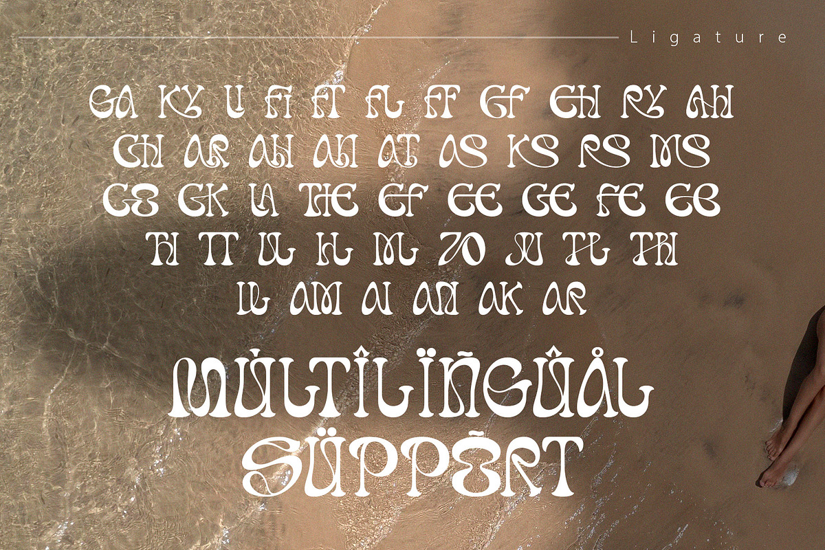 Dream Theatrion, a Serif Font by Letterara (Photo 11 of 14)