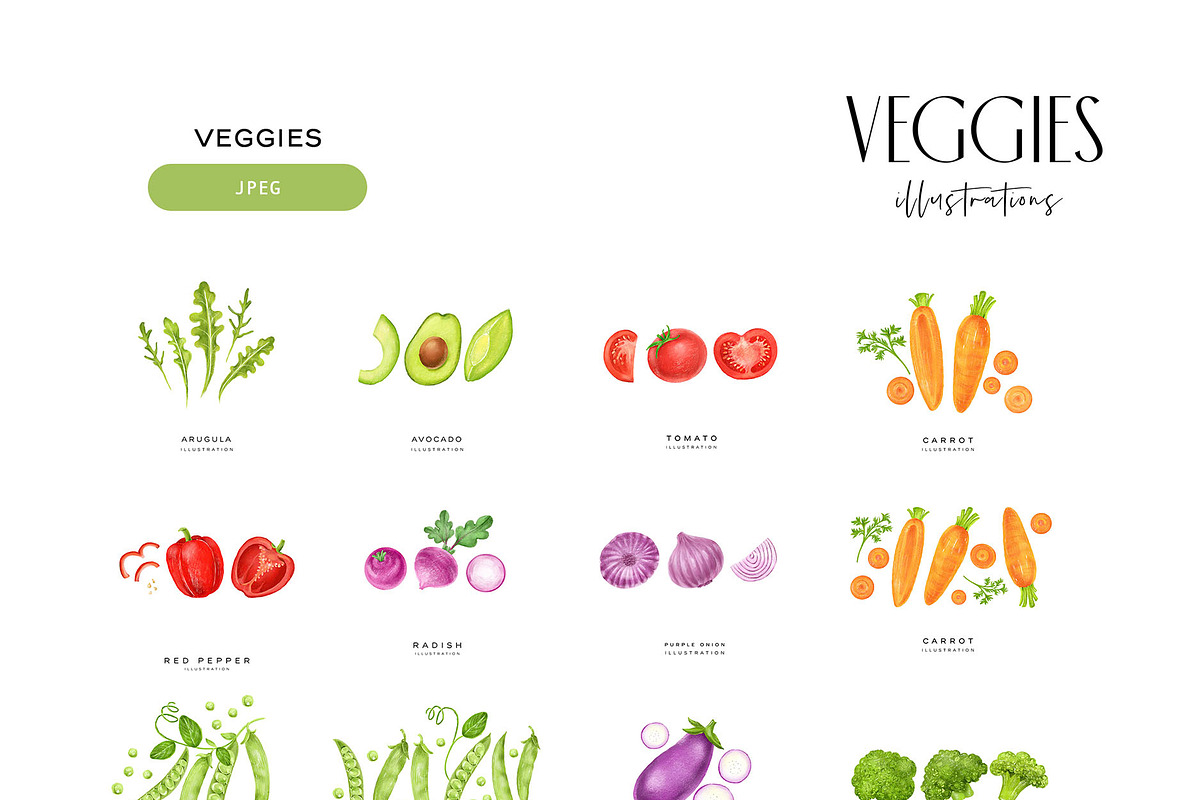 Veggies Illustrations, a Food Illustration by StudioPhoto (Photo 6 of 10)