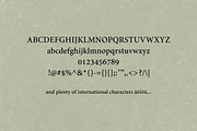 The Modern Serif Font Bundle, a Serif Font by Design 265 (Thumbnail 30 of 33)
