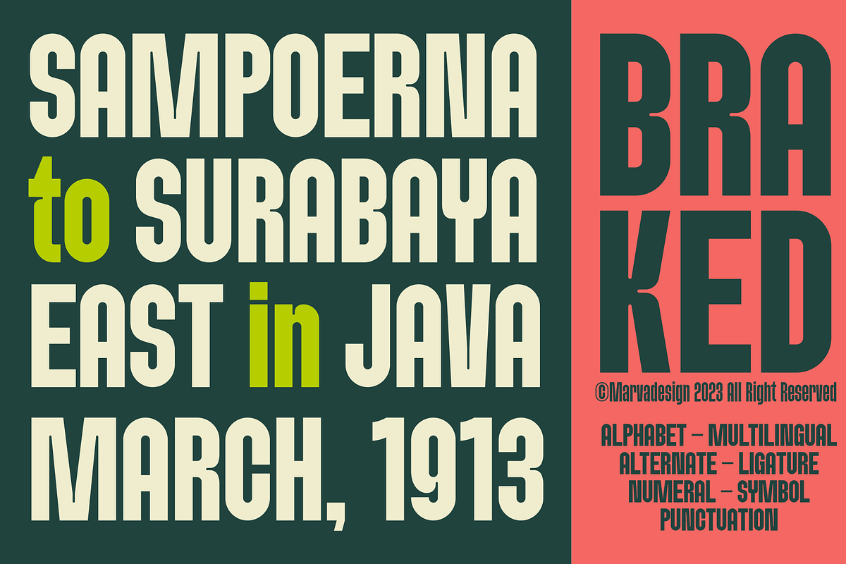 Braked - A Family Sans Condensed, a Sans Serif Font by Marvadesign (Photo 2 of 8)