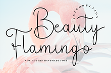 Beauty Flamingo