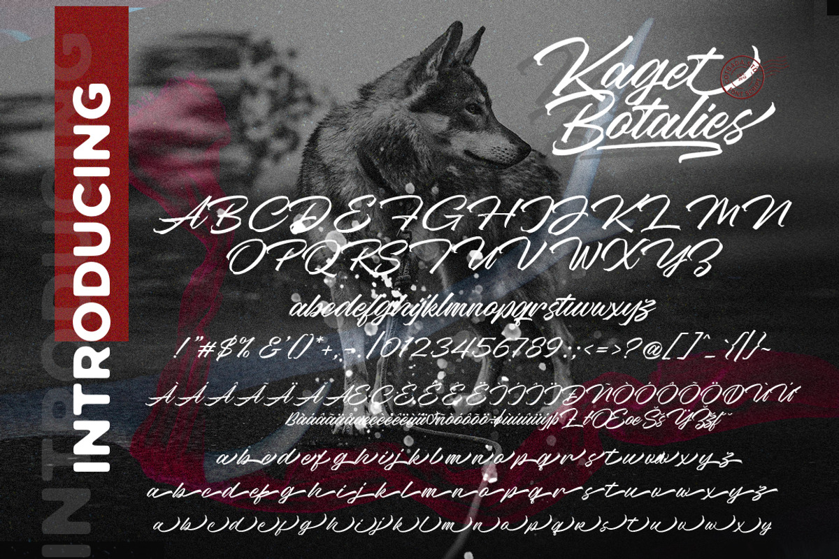 Kaget Botalies Script preview 8