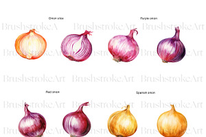 Watercolor Onion Clipart, Onion PNG