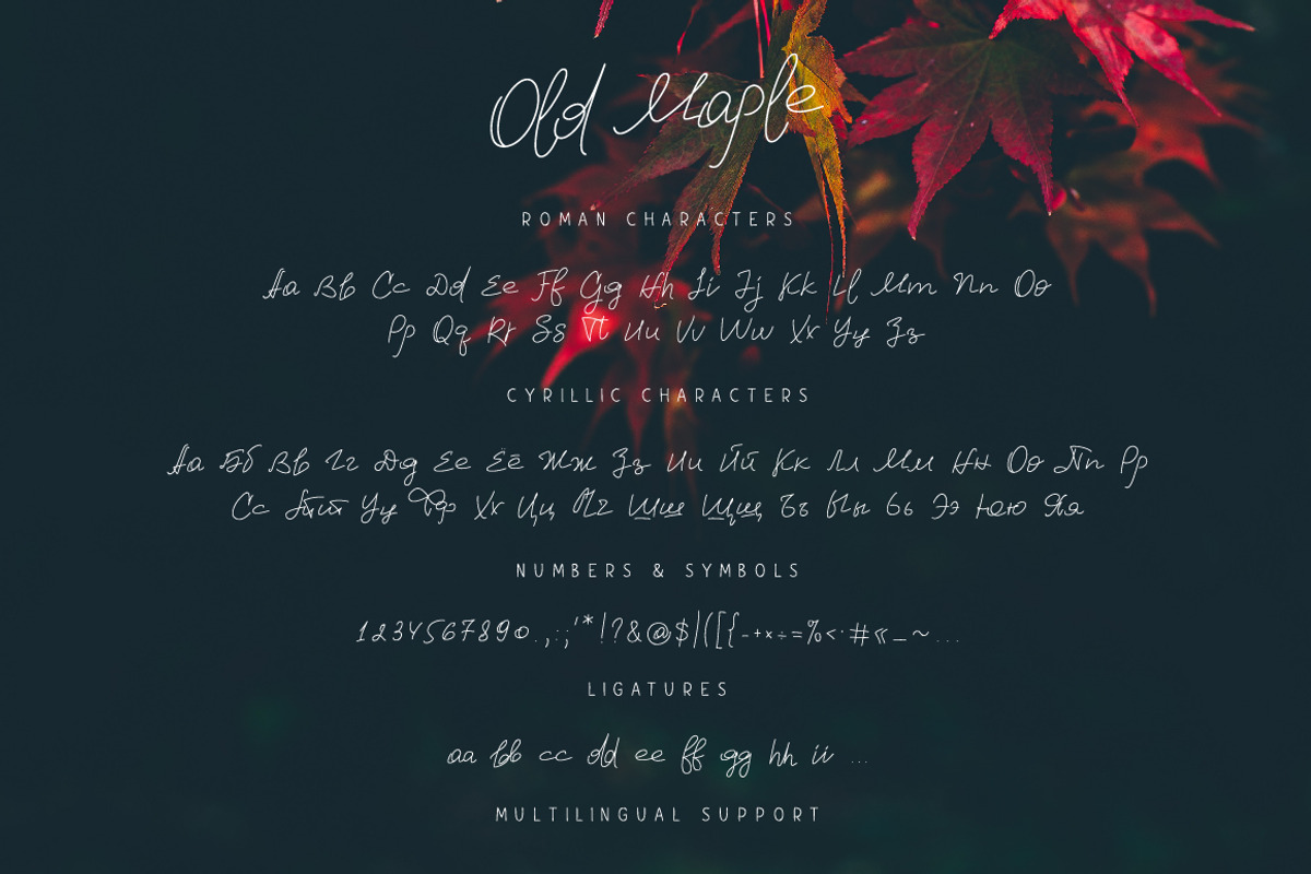 Old Maple, a Script Font by chekart (Photo 5 of 5)