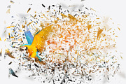 Glass Dispersion Photoshop Action, an Action Add-On by MRI STUDIO (Thumbnail 2 of 13)