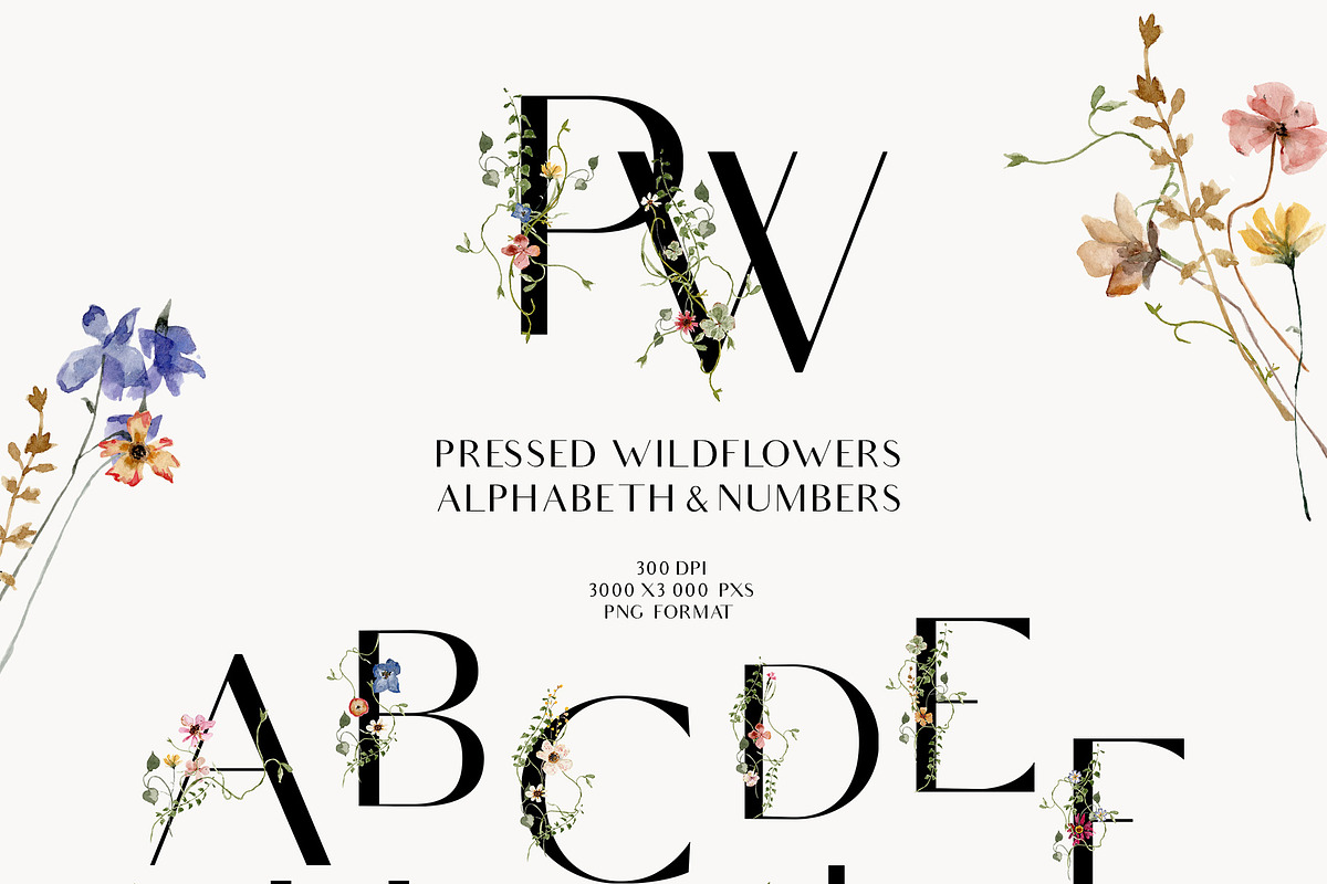 Meadow watercolor dried wildflowers, a Decorative Illustration by Grace Noboa Illustrations (Photo 8 of 13)