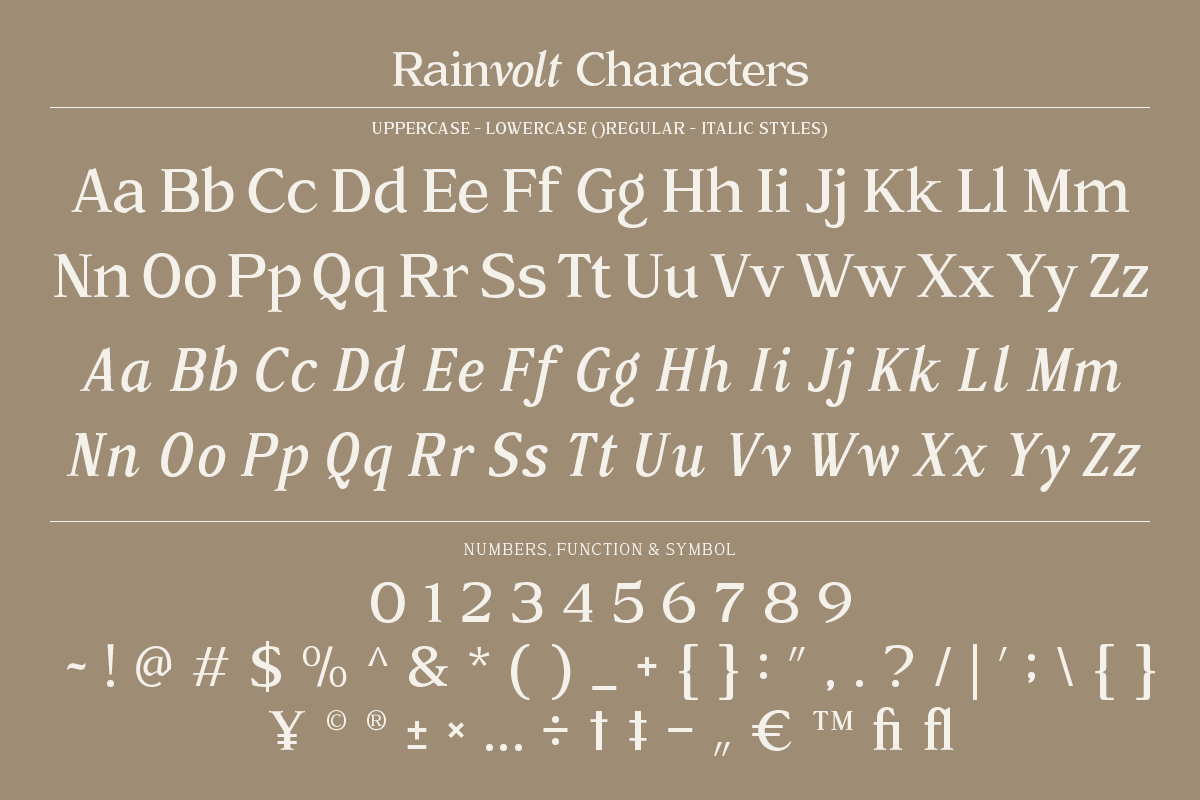 Rainvolt Classic Letterforms, a Serif Font by roomspace creative lab (Photo 13 of 13)