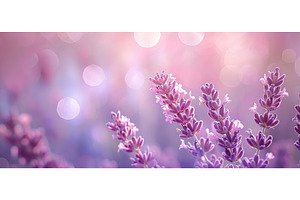 Lavender blossoms with bokeh lights, a Nature Photo by Lermont51