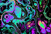 Acid psychedelic textures 50 Pack, a Texture Graphic by tkdesign (Thumbnail 36 of 50)