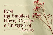 Lovika Elegant Fashion Serif Font, a Serif Font by Graphicxell (Thumbnail 4 of 8)