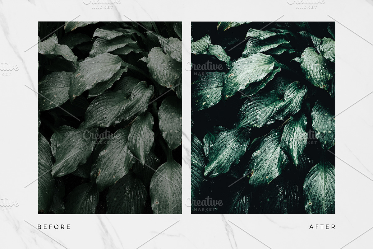 10 Botanical Lightroom Presets preview 6