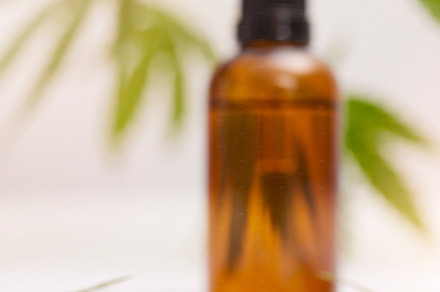 Cannabis, oil and marijuana healthcare pills for legal stress plant or anxiety medicine. Cbd hemp product, luxury 420 medical wellness and natural medical weed for relax health in leaf background, a Photo by Peopleimages.com