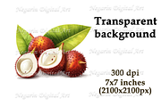 Watercolor Summer Hawaiian Fruits, an Object Graphic by Negarin Digital Art (Thumbnail 6 of 9)