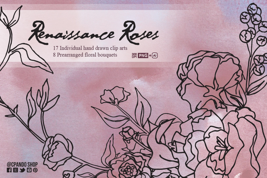 Renaissance Roses hand drawn flowers, an Illustration by CpandoShop