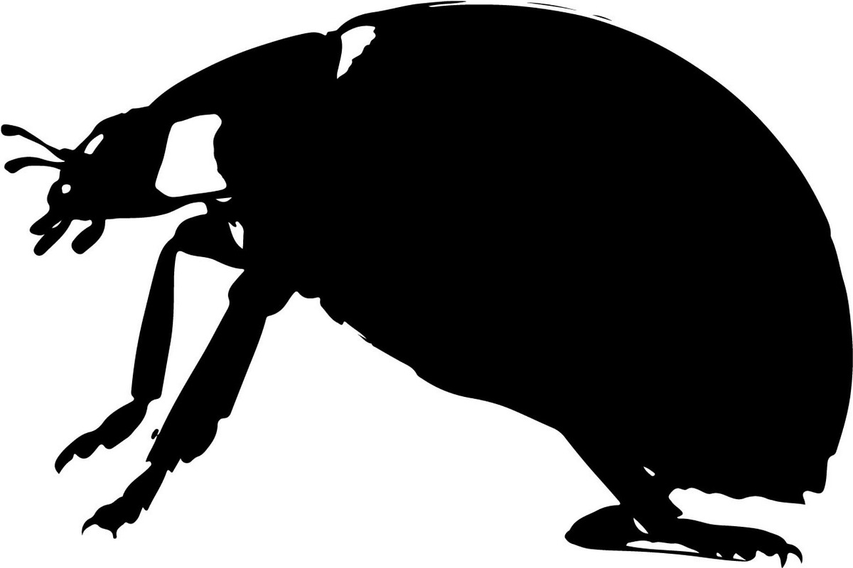 Ladybug Silhouette, an Object Graphic by Designer_Momina (Photo 7 of 20)
