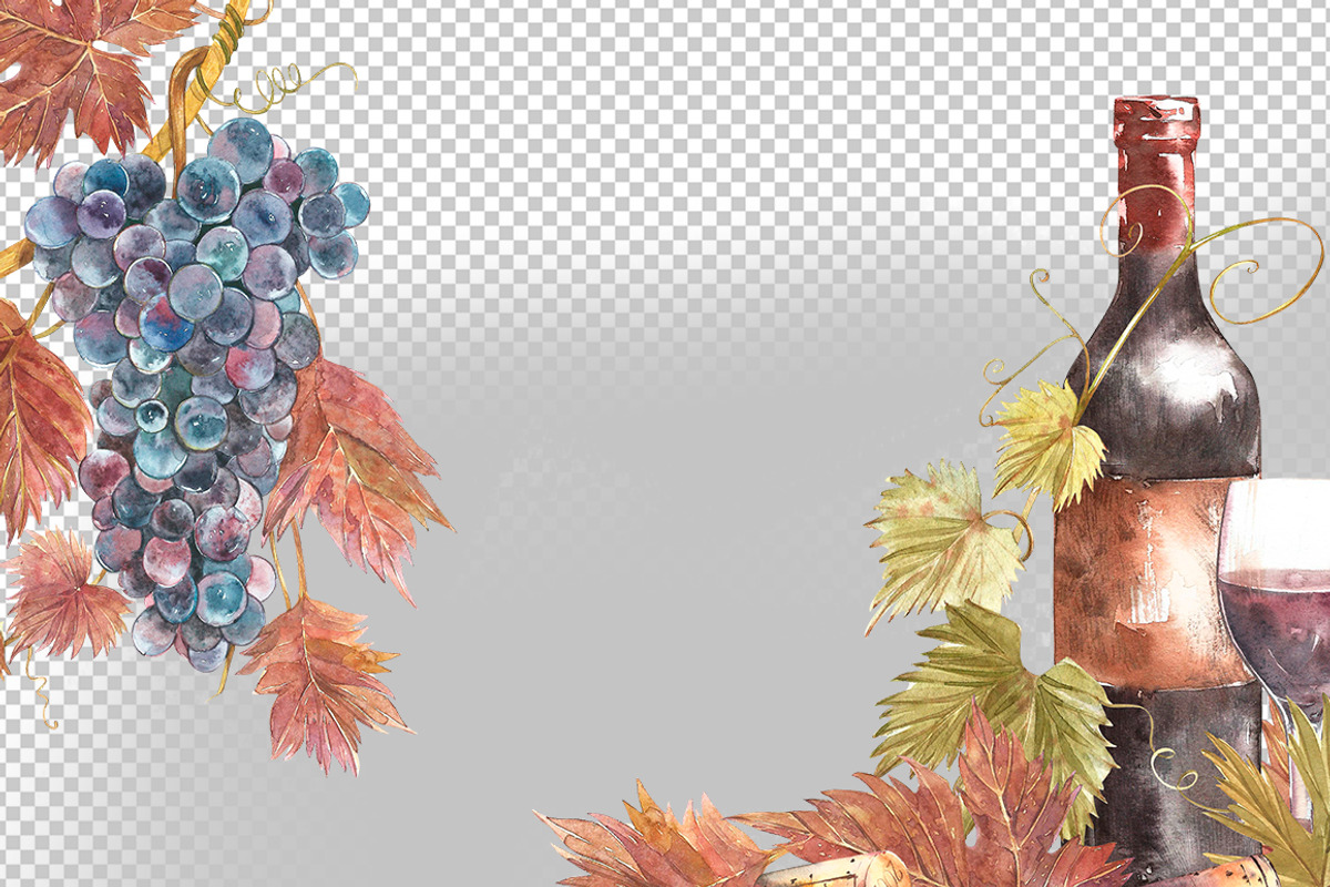 Wine and grapes set illustrations, a Food Illustration by Ann Astro (Photo 6 of 9)
