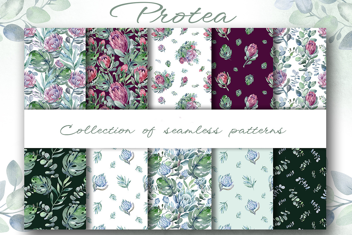 PROTEA watercolor flowers clipart, an Illustration by LenArt (Photo 9 of 16)