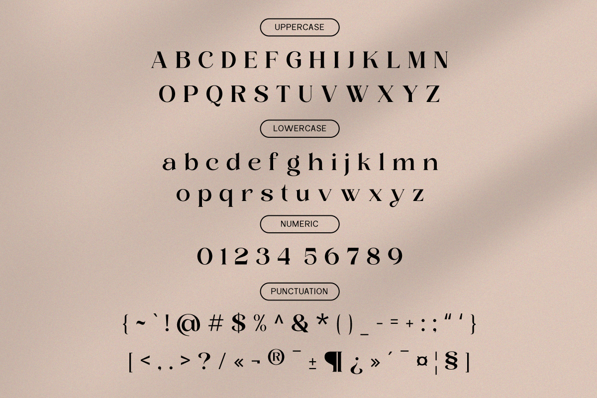 Luxury Ligature Font - Layer Valenas, a Serif Font by Say Studio (Photo 9 of 10)