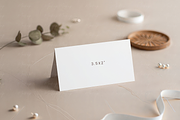 Aesthetic Beige Place Card Mockup, a Product Mockup by TatiMockup (Thumbnail 2 of 5)