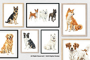 15 Bundle Watercolor Big Dog Fluffy, an Animal Illustration by Morspective (Thumbnail 4 of 8)
