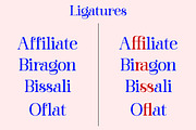 Barfiola Typeface, a Serif Font by MJtypefoundry (Thumbnail 6 of 14)
