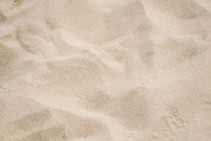 Sand or beach texture