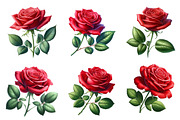 Watercolor Rose Flower Clipart, an Illustration by Dream Creation (Thumbnail 2 of 6)