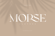 CARVES - Modern Display Font, a Sans Serif Font by Sensatype (Thumbnail 11 of 20)