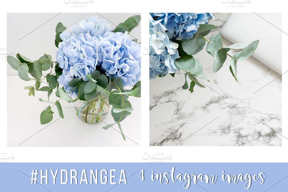 #Hydrangea. 4 Instagram images, a Product Mockup by Bang Bang Bureau (Photo 3 of 4)
