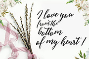 Austina Script, a Script Font by Zane Studio (Thumbnail 6 of 11)