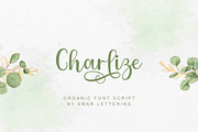 Charlize, a Script Font by Amarlettering (Thumbnail 1 of 5)