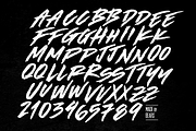 Made by Bears - Font, a Font by The Branded Quotes (Thumbnail 7 of 8)