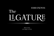 Shogi - Modern Serif Typeface, a Serif Font by Attractype (Thumbnail 2 of 8)