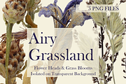 Airy Grassland — Flower Heads & Gras, an Object Graphic by Aga Silva (Thumbnail 2 of 5)
