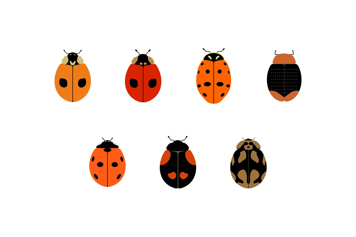 Flat Insects Illustration, an Animal Illustration by Buqancreative (Photo 2 of 6)